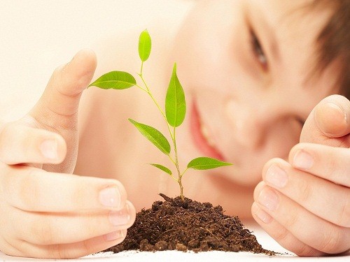The Sparrows,The sparrows in bangalore,best preschool in hanumantha nagar,best playgroup in hanumantha nagar,best daycare in hanumantha nagar,best nursery in hanumantha nagar,best activity center in hanumantha nagar,best after school care in hanumantha nagar,best playschool in hanumantha nagar,best preschool in banashankari,best playgroup in banashankari,best daycare in banashankari,best nursery in banashankari,best activity center in banashankari,best playschool in banashankari,best preschool in basavangudi,best playgroup in basavangudi,best daycare in basavangudi,best nursery in basavangudi,best activity center in basavangudi,best playschool in basavangudi,abacus class in hanumantha nagar,vedic maths class in hanumantha nagar,hand writing class in hanumantha nagar,photography class in hanumantha nagar,art & crafts class in hanumantha nagar,abacus class in banashankari,vedic maths class in banashankari,hand writing class in banashankari,photography class in banashankari,art & crafts class in basavangudi,abacus class in basavangudi,vedic maths class in basavangudi,hand writing class in basavangudi,photography class in basavangudi,art & crafts class in basavangudi,top 10 preschool in hanumantha nagar,top 10 preschool in bangalore,thesparrows,sowing seeds,the sparrows preschool.